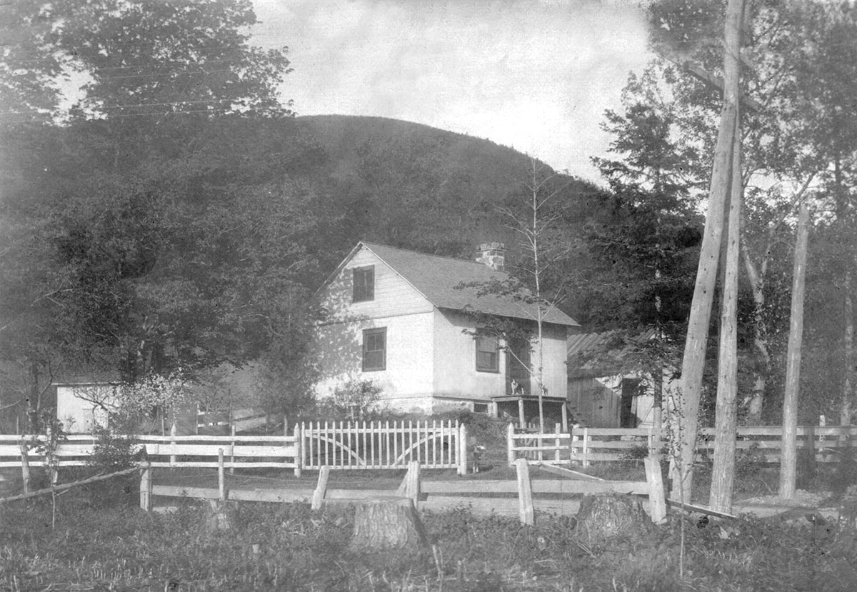 Photographie historique de la maison en été, bordée à l'avant d'une clôture de bois et d'arbres, avec la montagne à l'arrière-plan. On peut y discerner trois chiens observant le photographe.