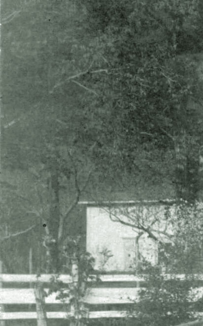 Détail d'une photographie historique de la maison en été, bordée à l'avant d'une clôture de bois et d'arbres, avec la montagne à l'arrière-plan. On peut y discerner trois chiens observant le photographe.