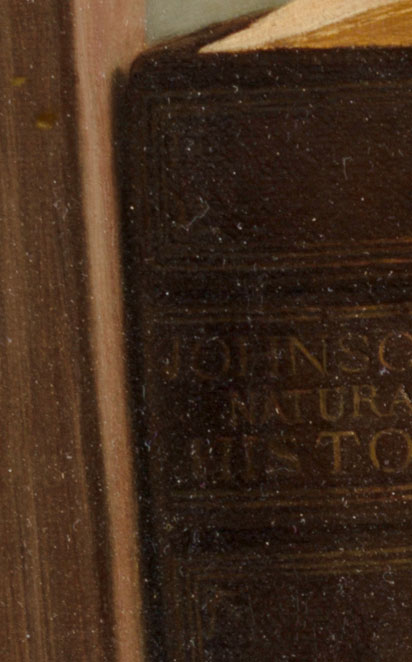 Détail d'un tableau illustrant le haut d'une rangée de livres à la verticale, dont les titres sont visibles.